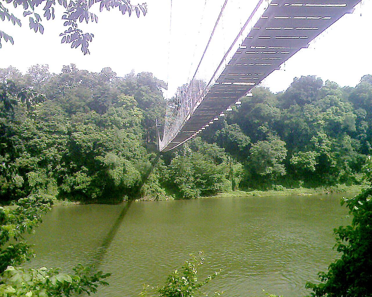 Cheroor Hanging Bridge Kasaragod entry details