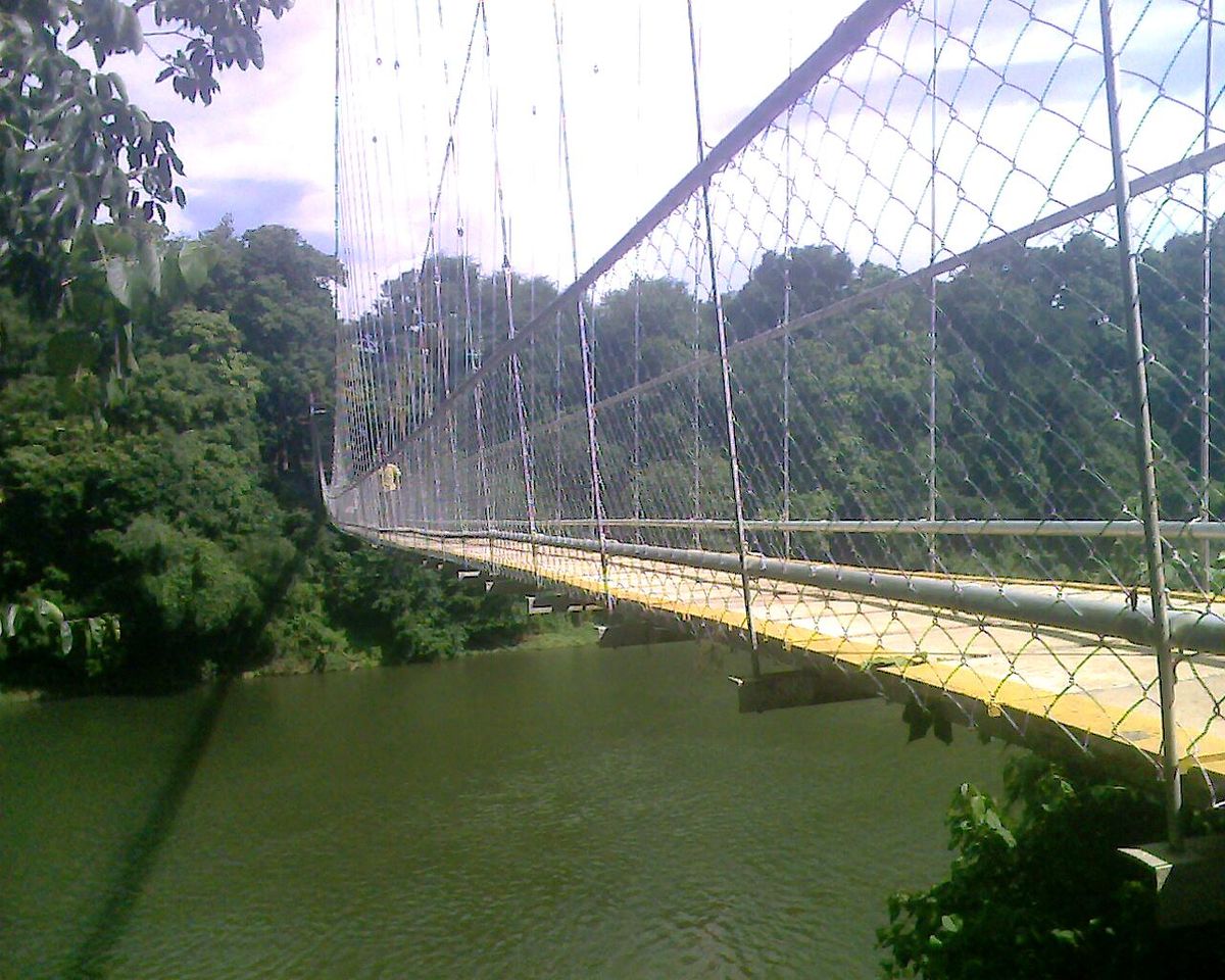 Cheroor Hanging Bridge Kasaragod view