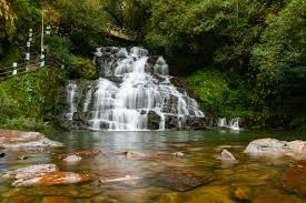 Elephent Fall Charladka Kasaragod Transpotation