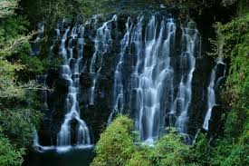 Elephent Fall Charladka Kasaragod is a unique and interesting tourist destination
