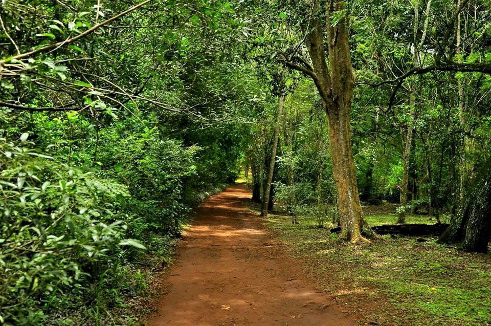 Kareem Forest Park Kasaragod attractions