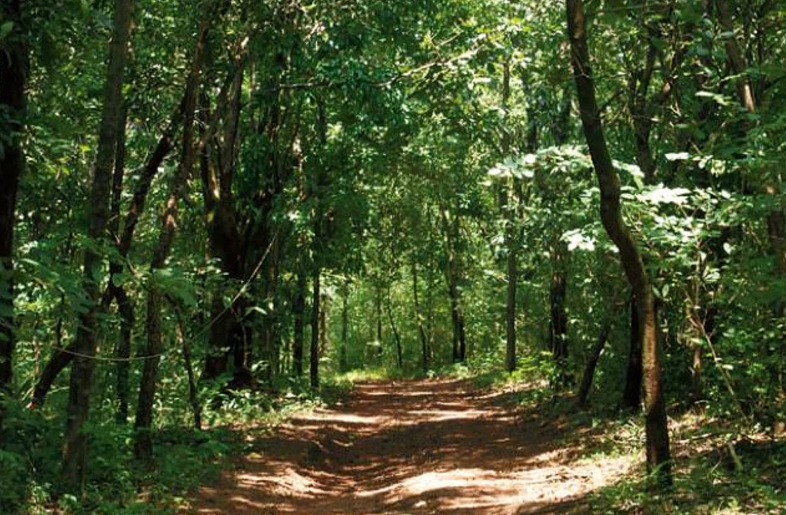 Images of  Kasaragod