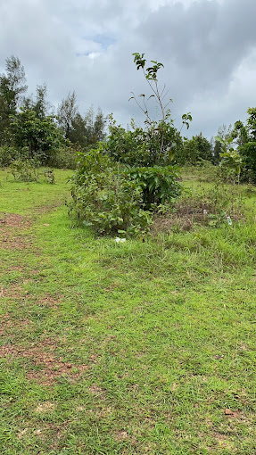 Posadi Gumpe   Kasaragod attractions